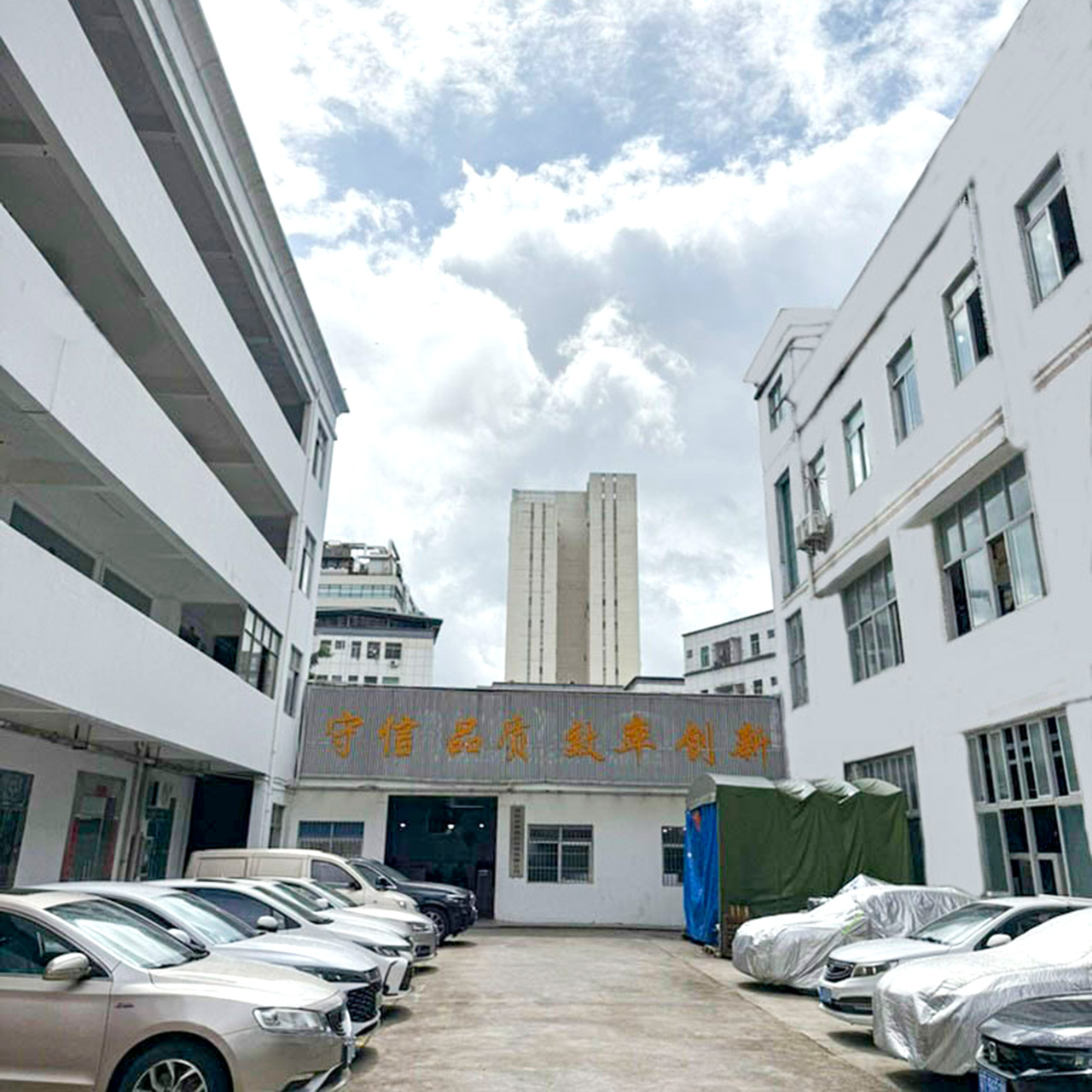 Our Origins and Growth